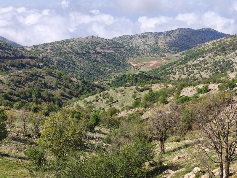 קובץ:IMG-20250426-WA0015.jpg