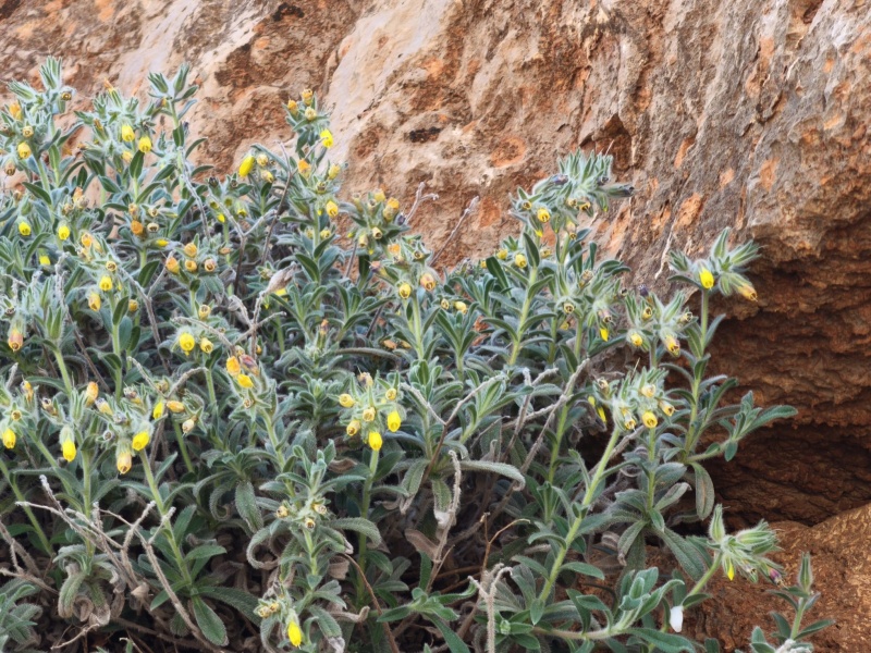 קובץ:IMG-20250426-WA0036.jpg
