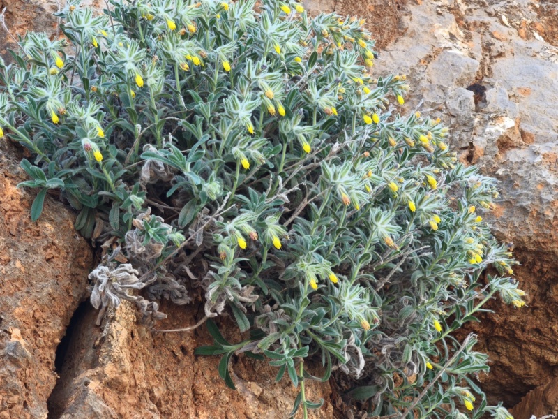 קובץ:IMG-20250426-WA0037.jpg