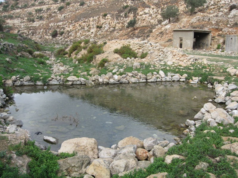 קובץ:IMG 0750.JPG