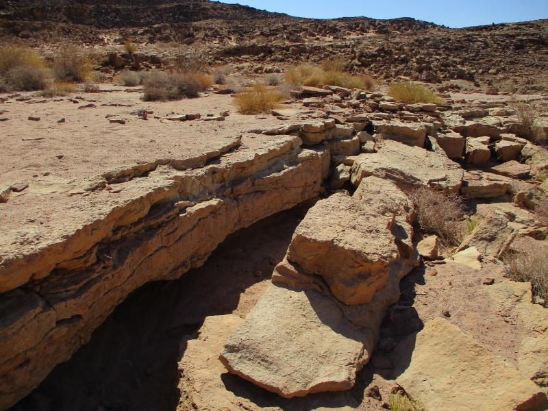 קובץ:IMG 0905.jpg