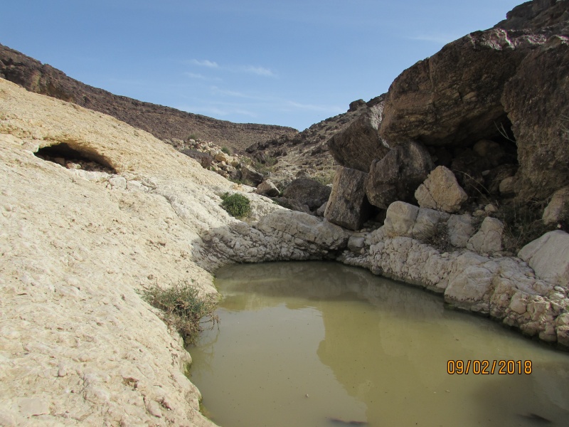 קובץ:IMG 1412.JPG