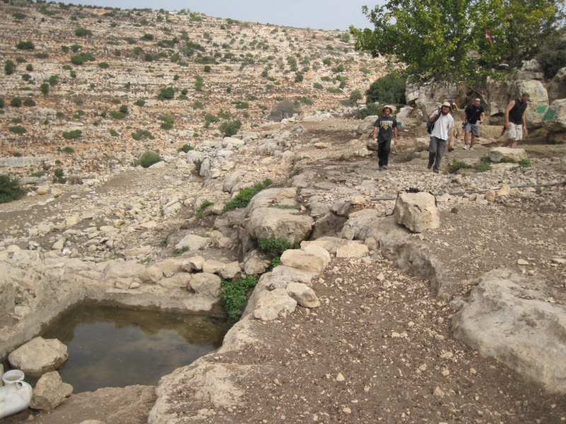 קובץ:IMG 1535.JPG