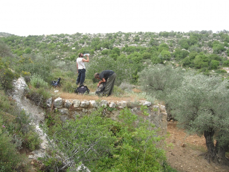 קובץ:IMG 1797.JPG