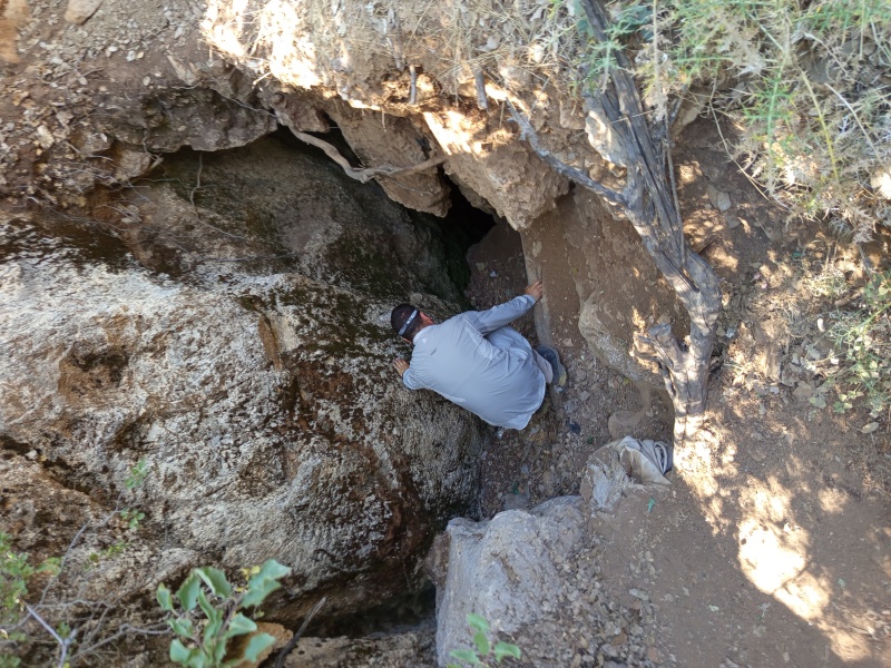 קובץ:IMG 20250721 093813.jpg