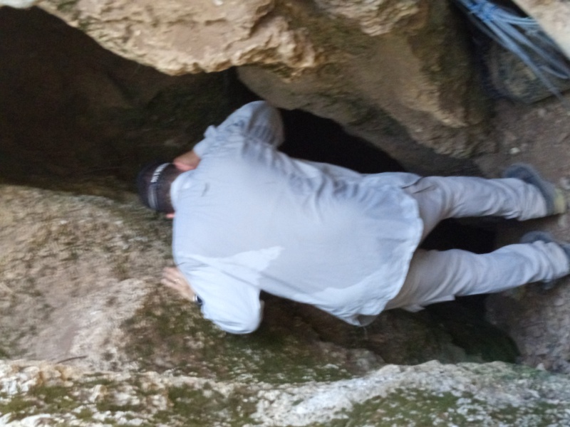 קובץ:IMG 20250721 093834.jpg