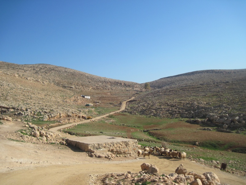 קובץ:IMG 2341.JPG