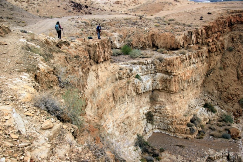 קובץ:IMG 4453 - עותק (Large) (Medium).JPG