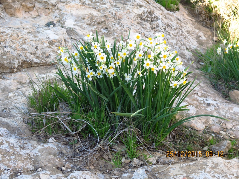 קובץ:IMG 5859.JPG