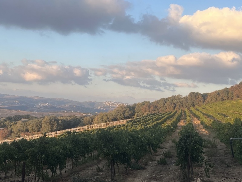 קובץ:IMG 7655.jpg