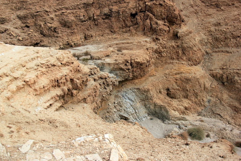קובץ:IMG 7670.JPG