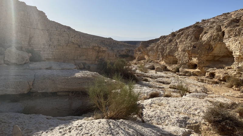 קובץ:IMG 8017.jpg