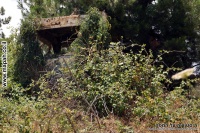 METULAH TEGART IDF BASE EFI ELIAN MAPAH CO IL 01.jpg