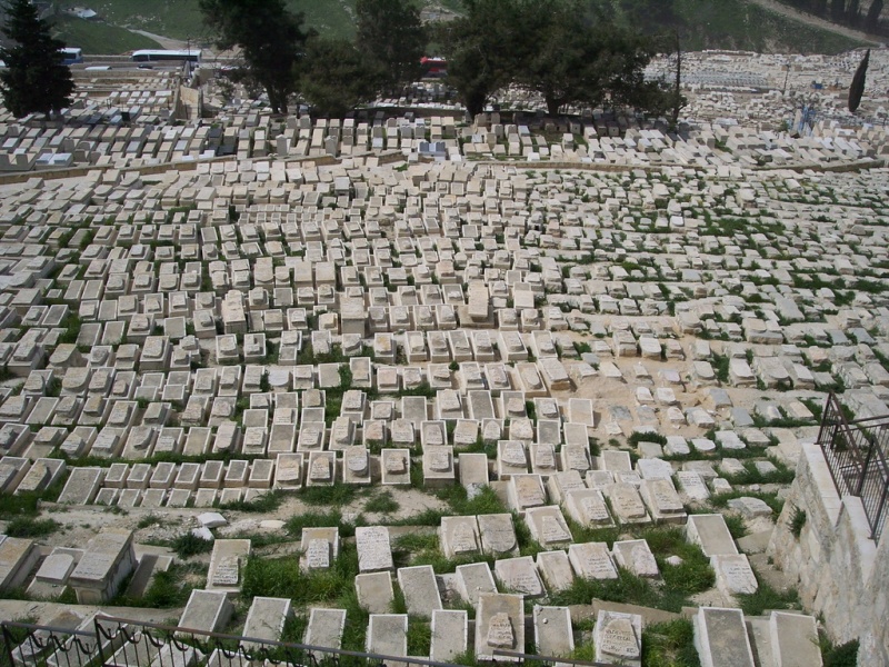 קובץ:Mt-Olives.JPG