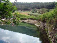 Nachal Tzipori - Ein Yivkah.JPG