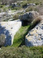 תמונה ממוזערת לגרסה מתאריך 09:38, 28 במרץ 2012