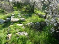 תמונה ממוזערת לגרסה מתאריך 21:00, 24 בפברואר 2013