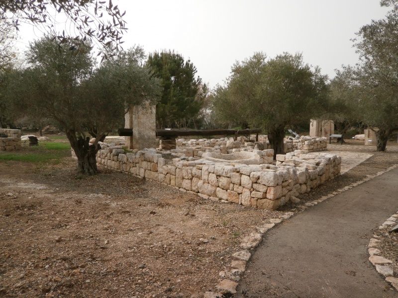 קובץ:P3030017.JPG