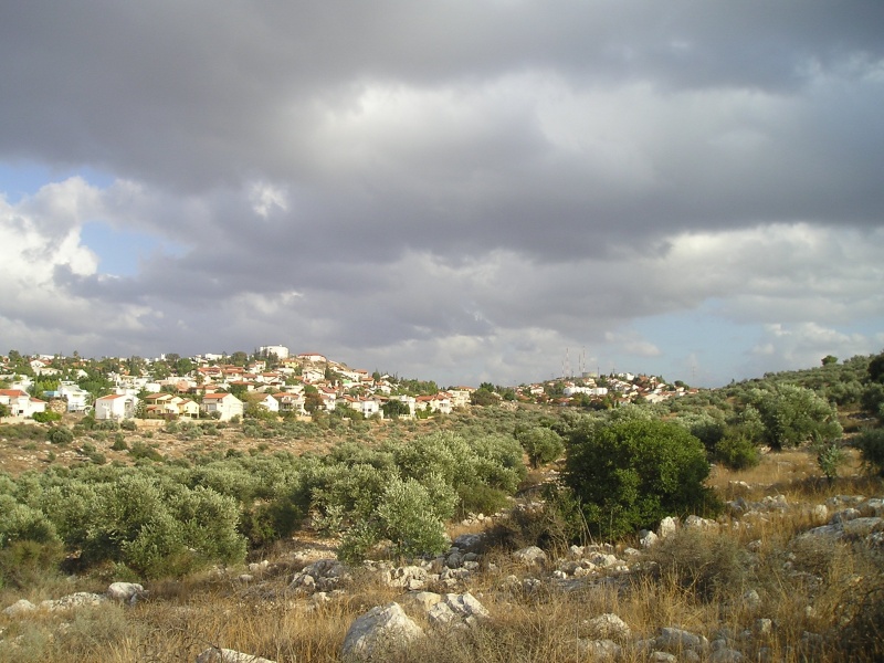 קובץ:PB040001.JPG