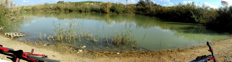 קובץ:Panorama2.jpg