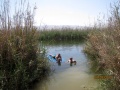 תמונה ממוזערת לגרסה מתאריך 19:00, 15 ביוני 2011