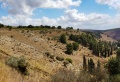 תמונה ממוזערת לגרסה מתאריך 12:33, 27 בנובמבר 2021