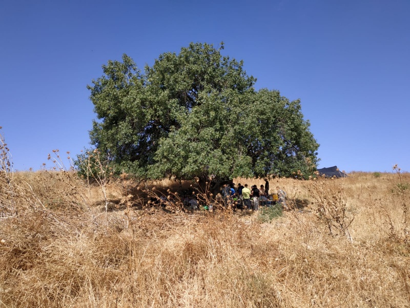 קובץ:Shmida 2019-07-16.jpeg