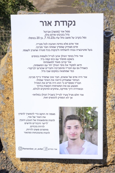 קובץ:TZ8 1795.jpg