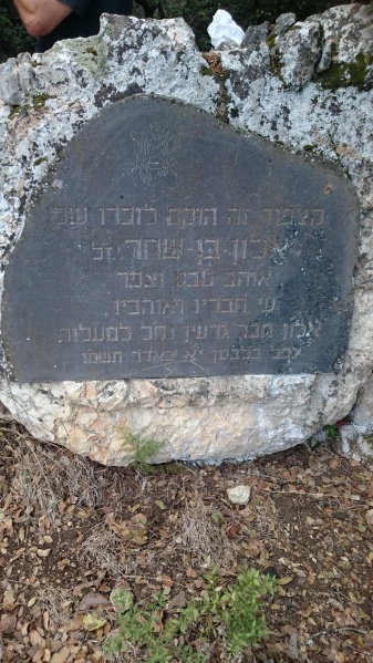 קובץ:Tia607757454.jpg