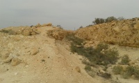 Turkish train from Sorek to Kusseima - section between Ezuz to Kusseima - Dugout 3.jpg