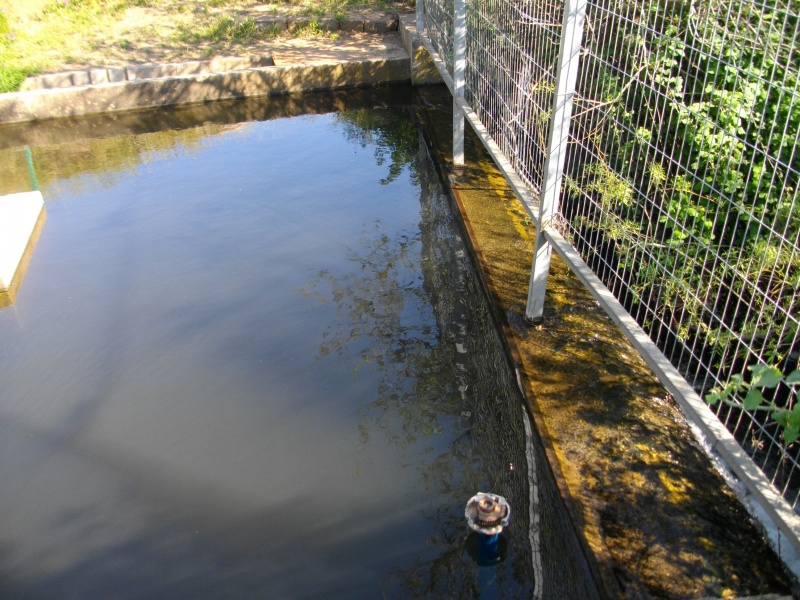 קובץ:Water pool.JPG