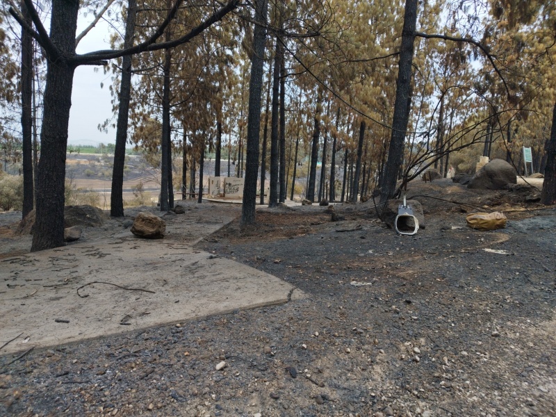 קובץ:WhatsApp Image 2025-05-01 at 21.33.32 (3).jpeg