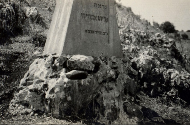 קובץ:WhatsApp Image 2026-06-23 at 11.41.15.jpeg