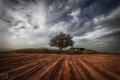 תמונה ממוזערת לגרסה מתאריך 19:51, 19 באפריל 2012