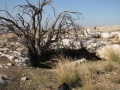 תמונה ממוזערת לגרסה מתאריך 10:33, 25 בפברואר 2015