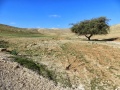 תמונה ממוזערת לגרסה מתאריך 15:57, 26 בינואר 2014