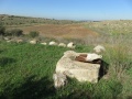 תמונה ממוזערת לגרסה מתאריך 19:54, 12 בנובמבר 2015